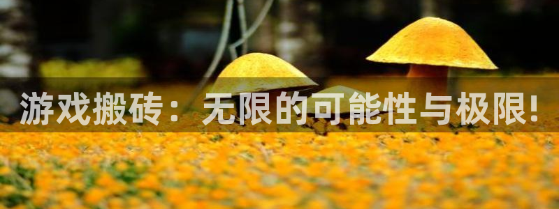 沐鸣集团：游戏搬砖：无限的可能性与极限!