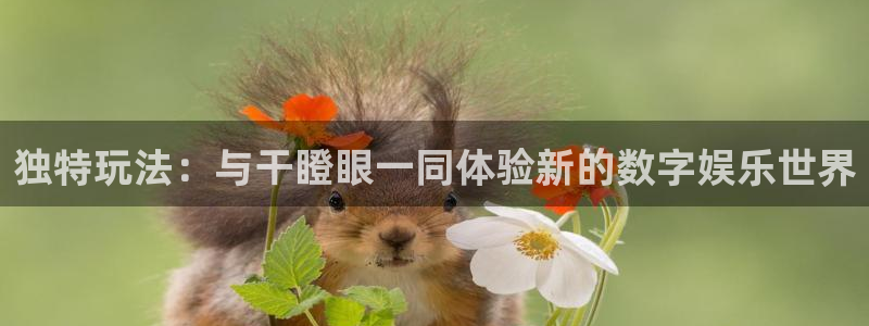 沐鸣账号注册：独特玩法：与干瞪眼一同体验新的数字娱乐世界