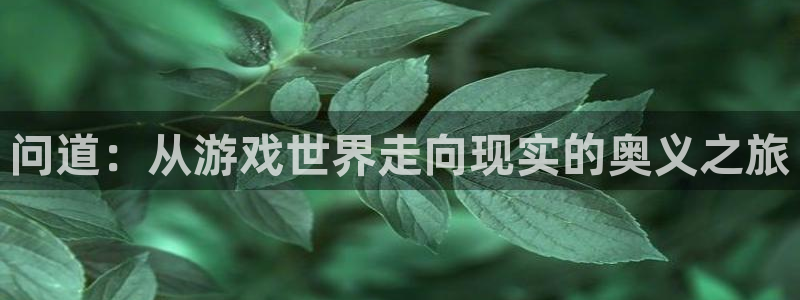 沐鸣注册登录入口：问道：从游戏世界走向现实的奥义之旅