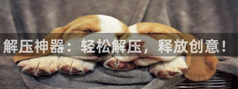 沐鸣平台负责人