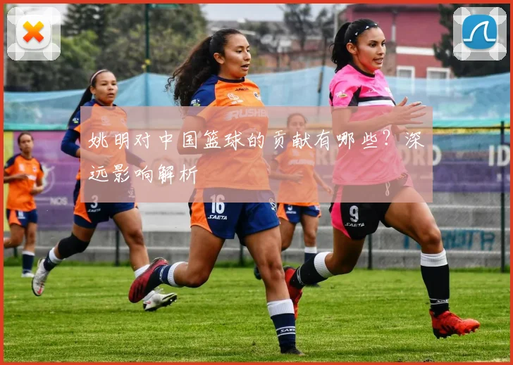 姚明对中国篮球的贡献有哪些？深远影响解析