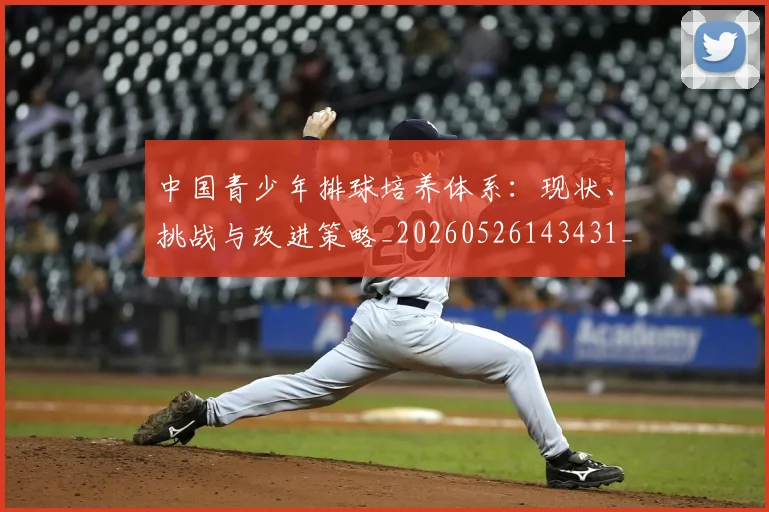 中国青少年排球培养体系:现状、挑战与改进策略_20260526143431_20260703203359